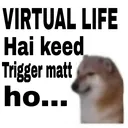 virtual life
