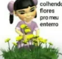 colhendo flores para o meu ent
