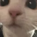 mil stare