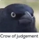 Crow of Judgement