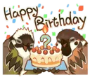 bird birthday