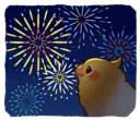 bird fireworks