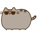 pusheen cool