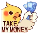 bird money