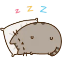 pusheen sleep