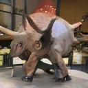 It Is What It Is visualised