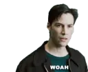 Woah