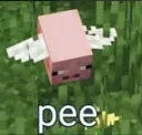 pee