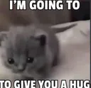 I WILL HUG YOU :3