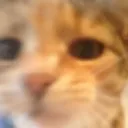 ALY STARE