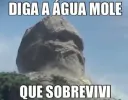 sobrivivi