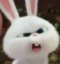 haaa