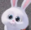 ehe
