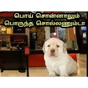 poi sonnalum poruntha sollanum