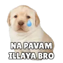 Nan pavam illaya bro