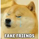 Fake frnds