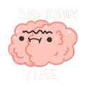 bigbrainuni