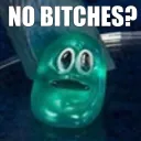No bitches?