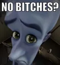 no bitches