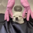 TIchienmassage