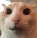 TIcatchocked