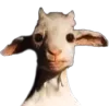 TIalberttufaisquoi