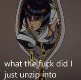 wtf did i just unzip into