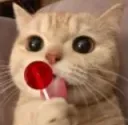 Lollipop Cat