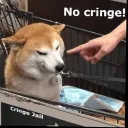 No Cringe Bro