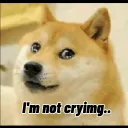 I'm Not Crying