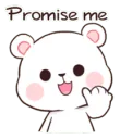 promise me