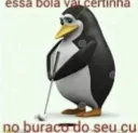 no seu cu