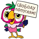 свободу навальному 