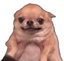 He