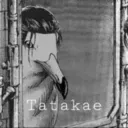 Tatakae