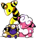 mareep family