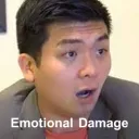 Emotional Damage