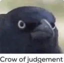 crow of judgement