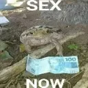 ToadSex
