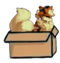 Box Aidyn