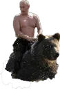 bearputin