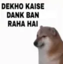 dank