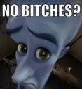 no bitches