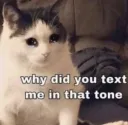 why did u text me in that tone