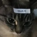 Gay