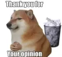 opinion