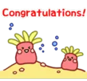 Sea Congrats