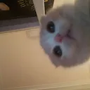 i see you