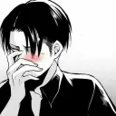 levi blush
