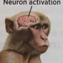NeuronActivation